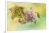 Cherry Blossoms in Spring-Jai Johnson-Framed Giclee Print