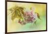 Cherry Blossoms in Spring-Jai Johnson-Framed Giclee Print