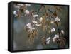 Cherry Blossoms in the Rain-null-Framed Stretched Canvas