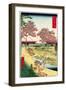 Cherry Blossoms Japanese Woodblock Print-null-Framed Art Print