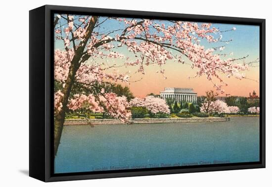 Cherry Blossoms, Lincoln Memorial, Washington D.C.-null-Framed Stretched Canvas