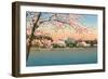 Cherry Blossoms, Lincoln Memorial, Washington D.C.-null-Framed Art Print