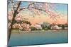 Cherry Blossoms, Lincoln Memorial, Washington D.C.-null-Mounted Art Print