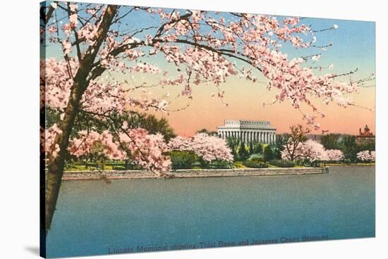 Cherry Blossoms, Lincoln Memorial, Washington D.C.-null-Stretched Canvas