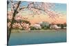 Cherry Blossoms, Lincoln Memorial, Washington D.C.-null-Stretched Canvas