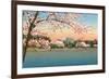 Cherry Blossoms, Lincoln Memorial, Washington D.C.-null-Framed Premium Giclee Print