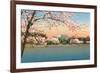 Cherry Blossoms, Lincoln Memorial, Washington D.C.-null-Framed Premium Giclee Print