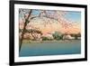 Cherry Blossoms, Lincoln Memorial, Washington D.C.-null-Framed Premium Giclee Print