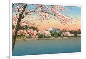 Cherry Blossoms, Lincoln Memorial, Washington D.C.-null-Framed Art Print