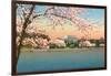 Cherry Blossoms, Lincoln Memorial, Washington D.C.-null-Framed Art Print