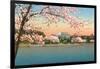 Cherry Blossoms, Lincoln Memorial, Washington D.C.-null-Framed Art Print