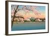 Cherry Blossoms, Lincoln Memorial, Washington D.C.-null-Framed Art Print