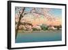 Cherry Blossoms, Lincoln Memorial, Washington D.C.-null-Framed Art Print