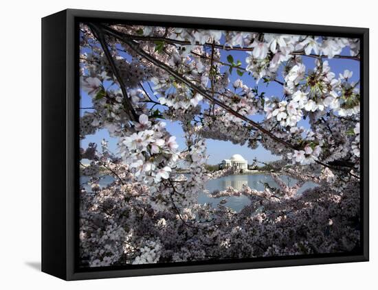 Cherry Blossoms Line the Tidal Basin-null-Framed Stretched Canvas