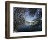 Cherry Blossoms Line the Tidal Basin-null-Framed Photographic Print