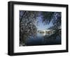 Cherry Blossoms Line the Tidal Basin-null-Framed Photographic Print