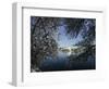 Cherry Blossoms Line the Tidal Basin-null-Framed Photographic Print