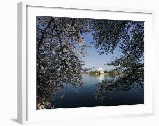 Cherry Blossoms Line the Tidal Basin-null-Framed Photographic Print