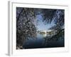 Cherry Blossoms Line the Tidal Basin-null-Framed Photographic Print