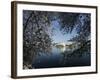 Cherry Blossoms Line the Tidal Basin-null-Framed Photographic Print