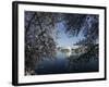 Cherry Blossoms Line the Tidal Basin-null-Framed Photographic Print