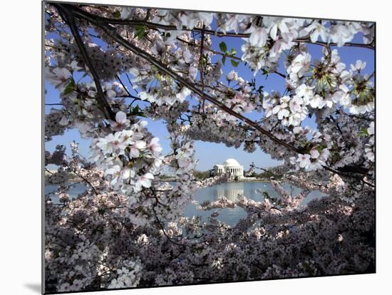 Cherry Blossoms Line the Tidal Basin-null-Mounted Photographic Print