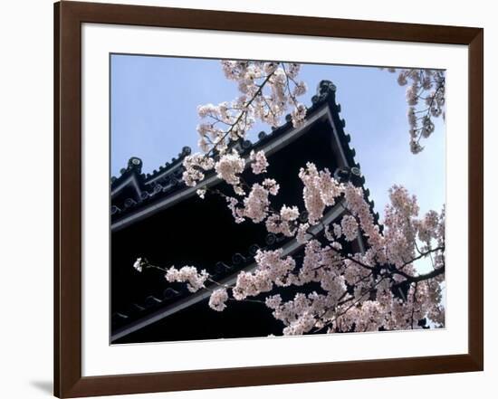 Cherry Blossoms, Matsue Castle, Shimane, Japan-null-Framed Photographic Print