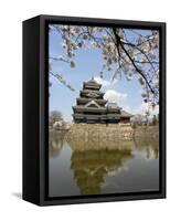 Cherry Blossoms, Matsumoto Castle, Matsumoto City, Nagano Prefecture, Honshu Island, Japan,Asia-Christian Kober-Framed Stretched Canvas