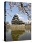 Cherry Blossoms, Matsumoto Castle, Matsumoto City, Nagano Prefecture, Honshu Island, Japan,Asia-Christian Kober-Stretched Canvas