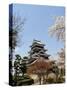 Cherry Blossoms, Matsumoto Castle, Matsumoto City, Nagano Prefecture, Honshu Island, Japan,Asia-Christian Kober-Stretched Canvas