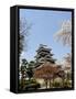 Cherry Blossoms, Matsumoto Castle, Matsumoto City, Nagano Prefecture, Honshu Island, Japan,Asia-Christian Kober-Framed Stretched Canvas