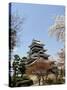 Cherry Blossoms, Matsumoto Castle, Matsumoto City, Nagano Prefecture, Honshu Island, Japan,Asia-Christian Kober-Stretched Canvas