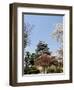 Cherry Blossoms, Matsumoto Castle, Matsumoto City, Nagano Prefecture, Honshu Island, Japan,Asia-Christian Kober-Framed Photographic Print