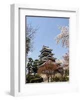 Cherry Blossoms, Matsumoto Castle, Matsumoto City, Nagano Prefecture, Honshu Island, Japan,Asia-Christian Kober-Framed Photographic Print