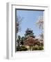 Cherry Blossoms, Matsumoto Castle, Matsumoto City, Nagano Prefecture, Honshu Island, Japan,Asia-Christian Kober-Framed Photographic Print