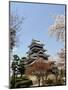 Cherry Blossoms, Matsumoto Castle, Matsumoto City, Nagano Prefecture, Honshu Island, Japan,Asia-Christian Kober-Mounted Photographic Print