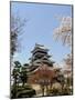 Cherry Blossoms, Matsumoto Castle, Matsumoto City, Nagano Prefecture, Honshu Island, Japan,Asia-Christian Kober-Mounted Photographic Print