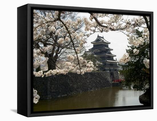 Cherry Blossoms, Matsumoto Castle, Matsumoto City, Nagano Prefecture, Honshu Island, Japan-Christian Kober-Framed Stretched Canvas
