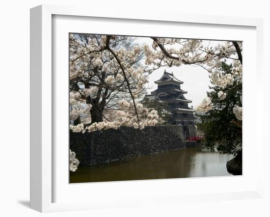 Cherry Blossoms, Matsumoto Castle, Matsumoto City, Nagano Prefecture, Honshu Island, Japan-Christian Kober-Framed Photographic Print