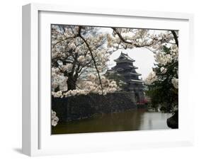 Cherry Blossoms, Matsumoto Castle, Matsumoto City, Nagano Prefecture, Honshu Island, Japan-Christian Kober-Framed Photographic Print