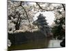 Cherry Blossoms, Matsumoto Castle, Matsumoto City, Nagano Prefecture, Honshu Island, Japan-Christian Kober-Mounted Photographic Print