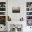 Cherry Blossoms, Mishima Taisha Shrine, Shizuoka-null-Photographic Print displayed on a wall