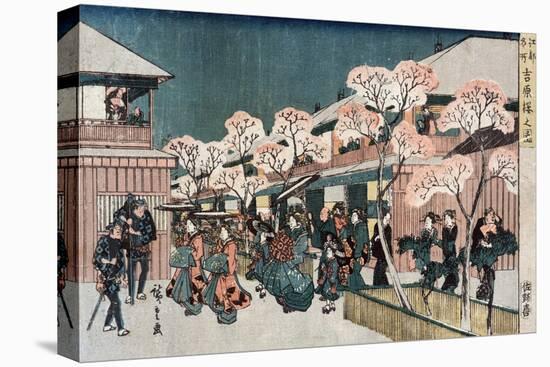 Cherry Blossoms of Yoshiwara, Japanese Wood-Cut Print-Lantern Press-Stretched Canvas