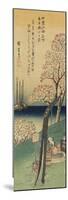 Cherry Blossoms on Gotenyama, Spring, 1833-1834-Utagawa Hiroshige-Mounted Premium Giclee Print