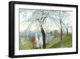 Cherry Blossoms on Grassy Slopes-null-Framed Art Print