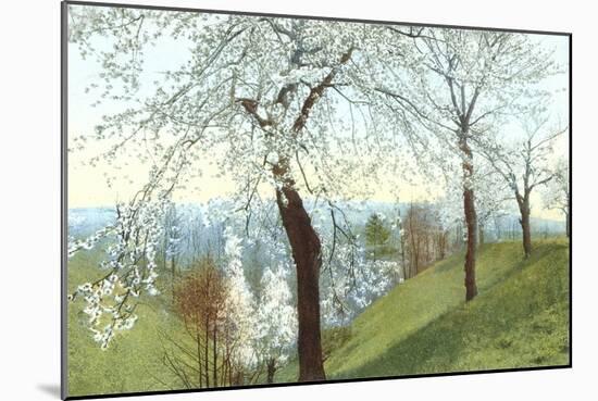 Cherry Blossoms on Grassy Slopes-null-Mounted Art Print