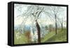 Cherry Blossoms on Grassy Slopes-null-Framed Stretched Canvas