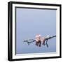 Cherry blossoms on water-John Smith-Framed Photographic Print