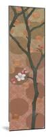Cherry Blossoms Panel II One Blossom-Kathrine Lovell-Mounted Premium Giclee Print