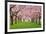 Cherry Blossoms Plenitude-Smileus-Framed Photographic Print